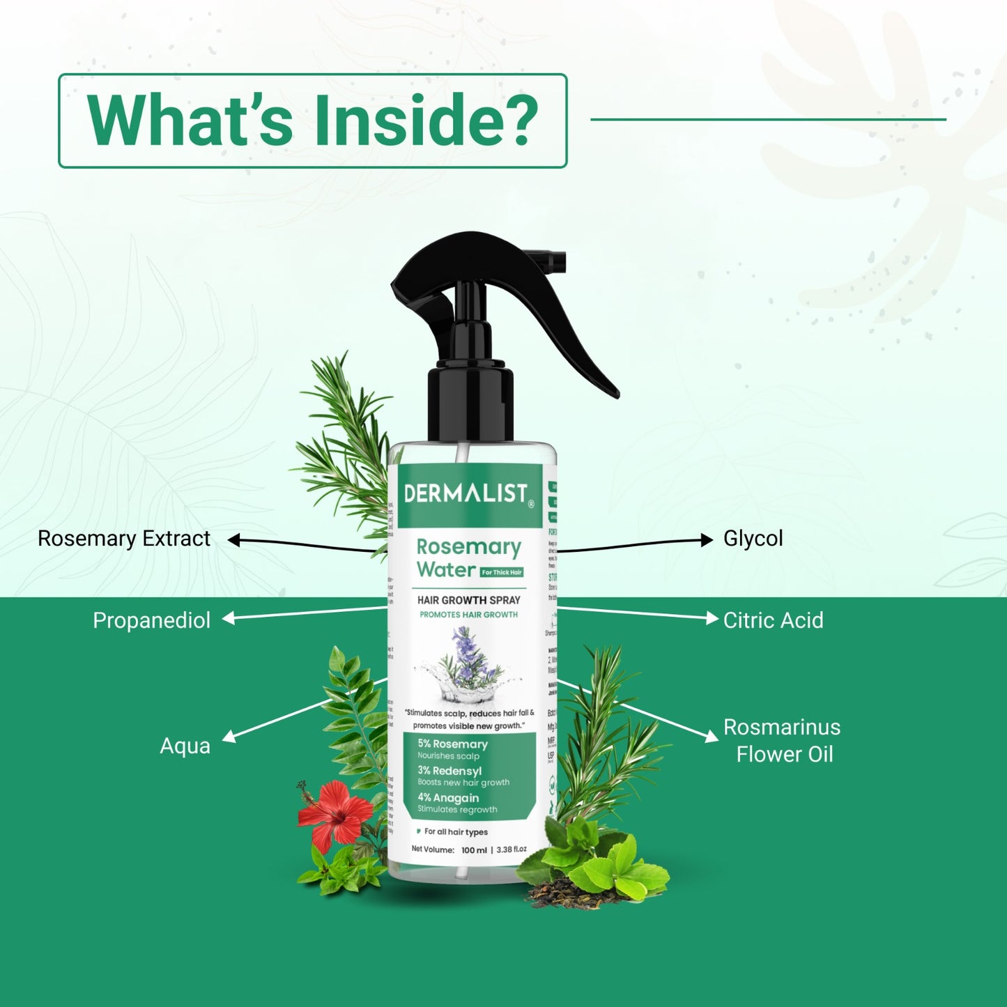 Dermalist Rosemary Water Spray for Hair Growth, Thickness & Hairfall Control, 100% Natural Hair Spray (100 ml)