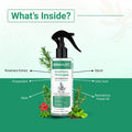 Dermalist Rosemary Water Spray for Hair Growth, Thickness & Hairfall Control, 100% Natural Hair Spray  (100 ml)